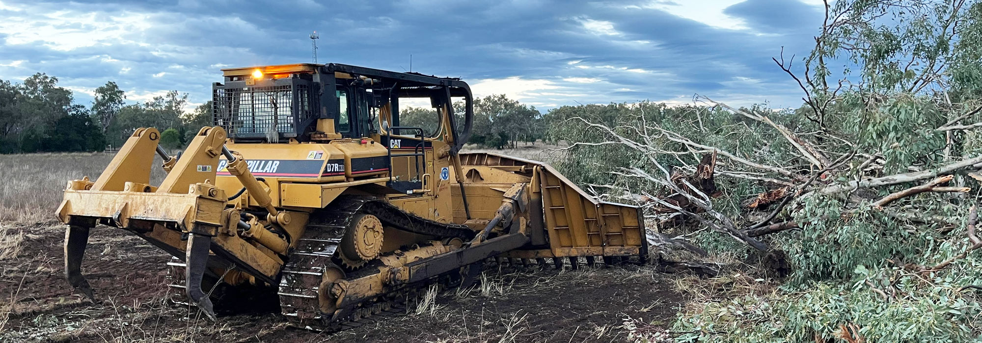 NC Child Land Clearing and Tree Removal