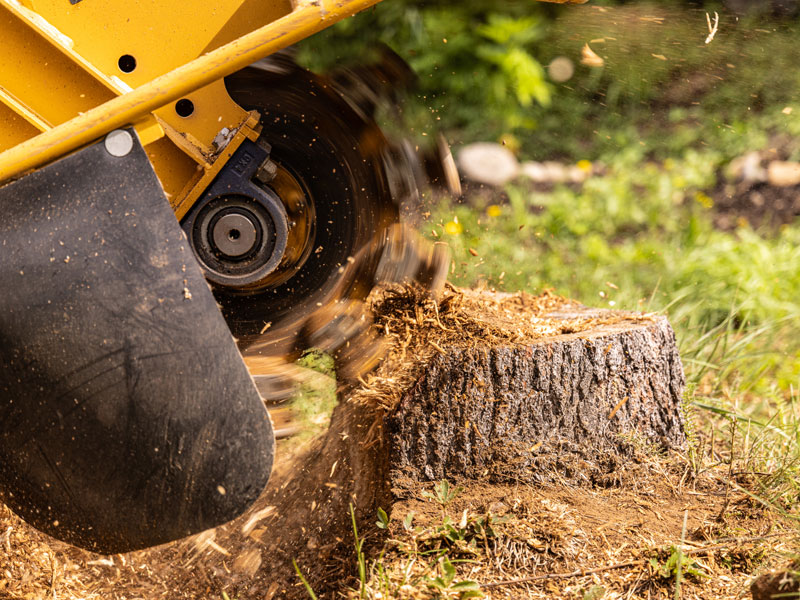 Stump Removal